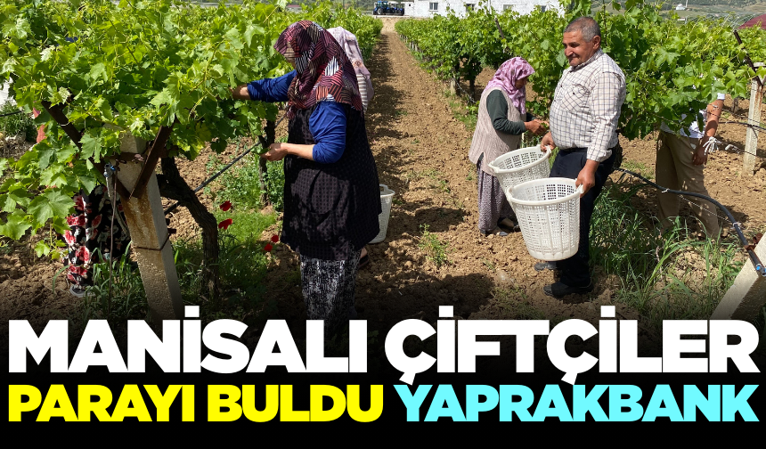 Manisalı kadınların gelir kaynağı! ''Yaprakbank''