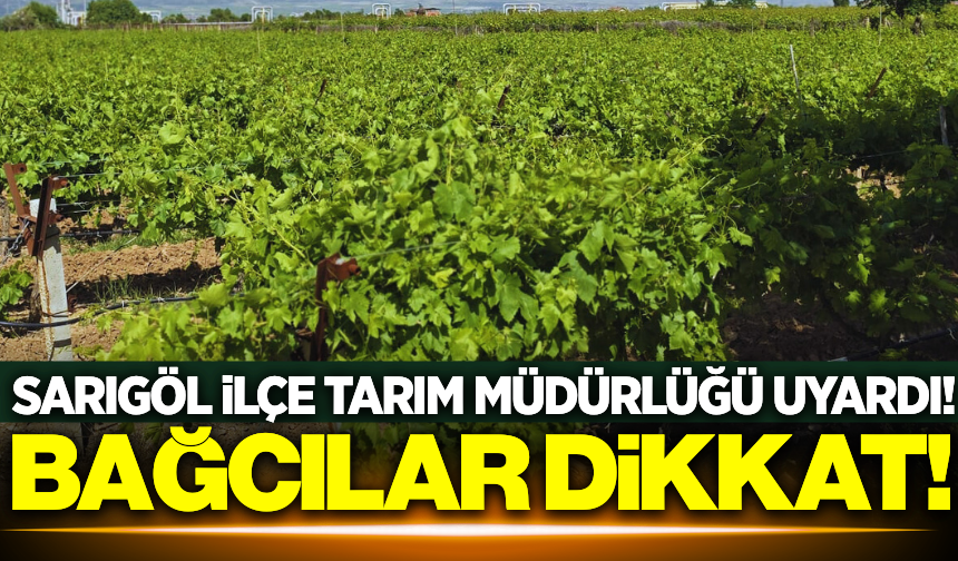 Sarıgöl İlçe Tarım ve Orman Müdürlüğü, bağcıları uyardı!