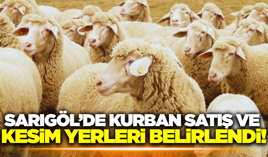 Sarıgöl'de kurban satış ve kesim yerleri açıklandı