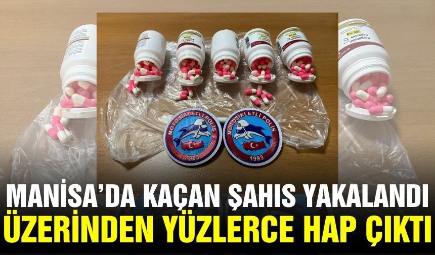 Manisa'da Yunuslardan nefes kesen takip