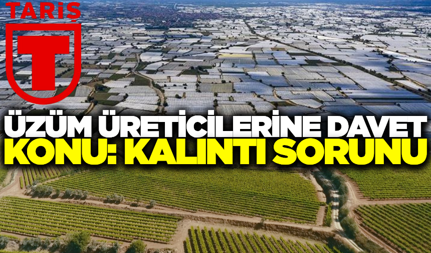 Tariş'ten Üzüm üreticileri davet! Kalıntı sorunu masaya yatırılacak