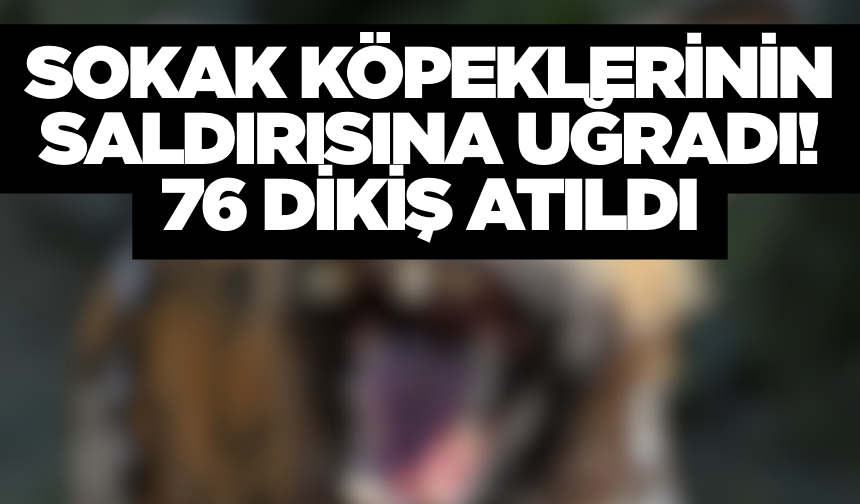 Yaşlı adam köpek saldırısına uğradı