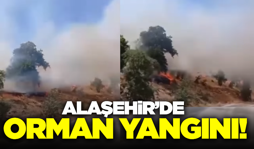 Alaşehir'de orman yangını! Ekiplerin müdahalesi sürüyor