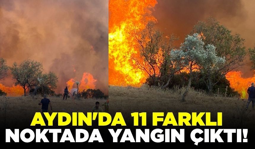 Aydın alevlerle mücadele ediyor: Tam 11 farklı noktada yangın!