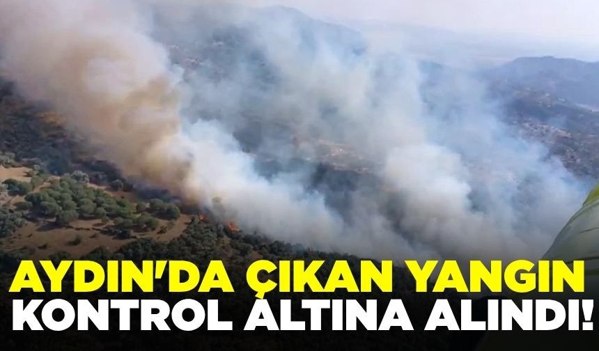 Aydın'da çıkan yangın kontrol altına alındı!