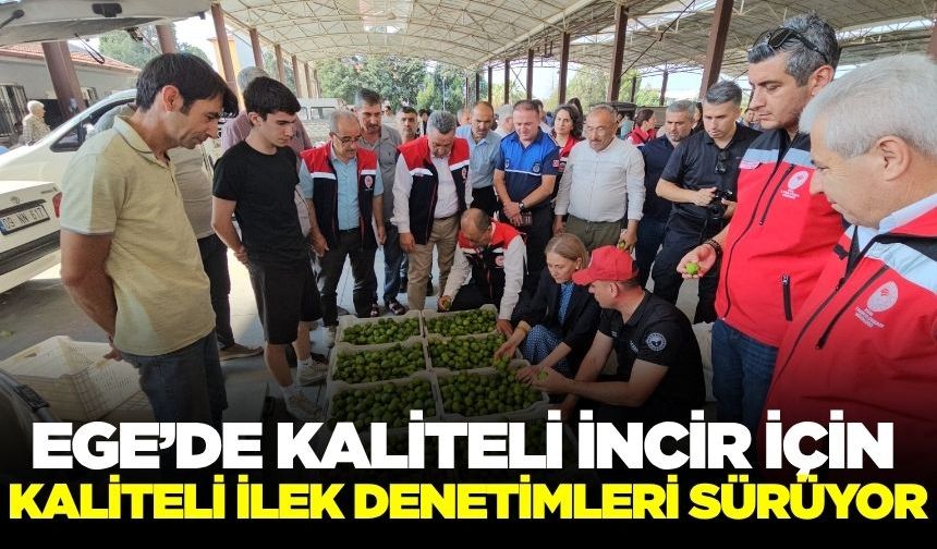 Ege'de üretimde kritik dönem: Sezon başladı