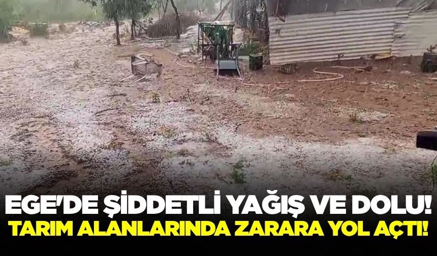 Ege'de dolu şoku: Tarım alanlarını olumsuz etkiledi