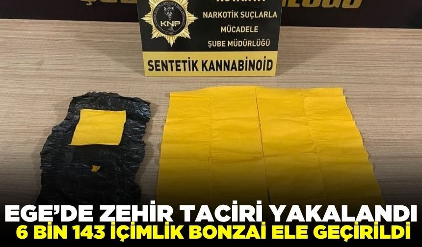 Ege'de uyuşturucu operasyonu: 1 tutuklama
