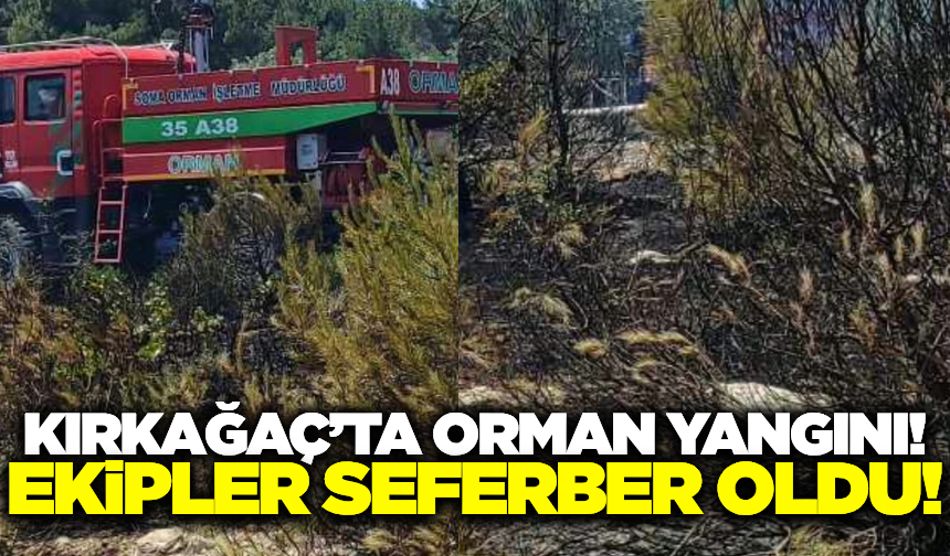 Kırkağaç'ta orman yangını: Ekiplerin müdahalesi sürüyor!