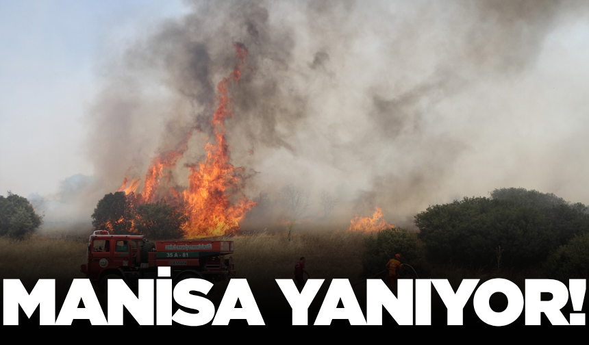 Manisa'da makilik alanda çıkan yangına ekipler müdahale ediyor