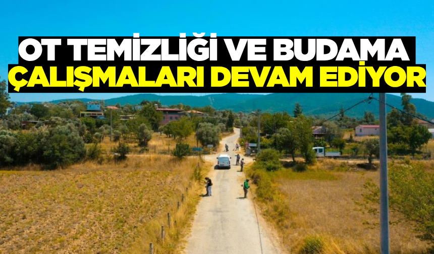 Bodrum Belediyesi kapsamlı temizlik ve budama çalışmalarını sürdürüyor
