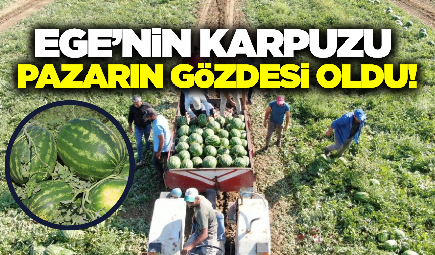 Türkiye'nin gözü burada! Pazarcılar gün doğmadan sıraya giriyor