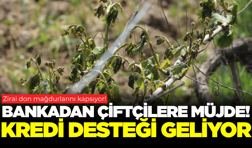 Zirai dondan etkilenen çiftçilere kredi müjdesi verildi