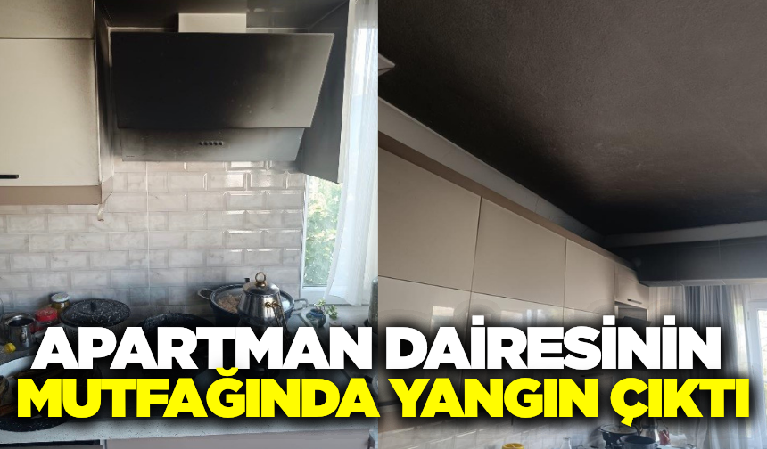 Balıkesir'de korkutan yangın!