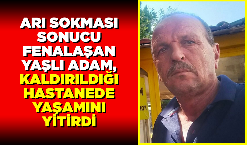 Arı sokması sonucu rahatsızlanan yaşlı adam hastanede yaşamını yitirdi