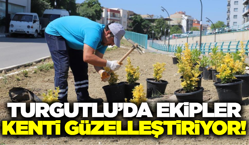 Turgutlu'da ekipler kenti güzelleştiriyor!
