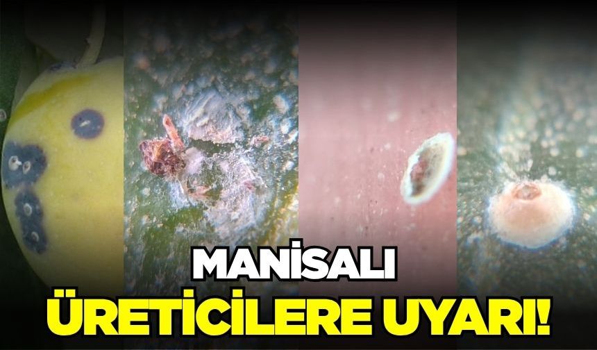 Manisalı üreticilere uyarı!