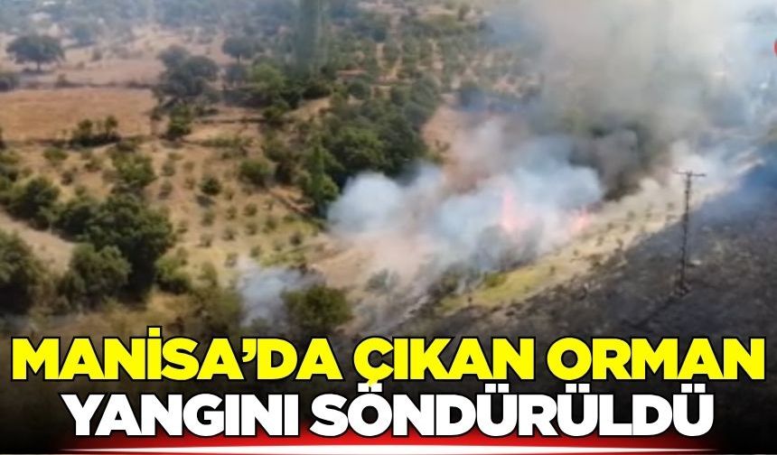 Manisa'daki orman yangını söndürüldü!
