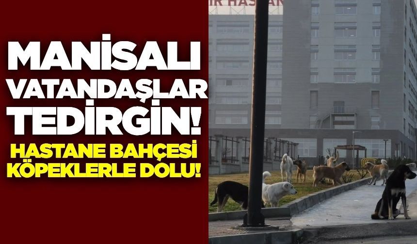 Manisa'daki hastanede güvenlik ve hijyen endişeleri arttı