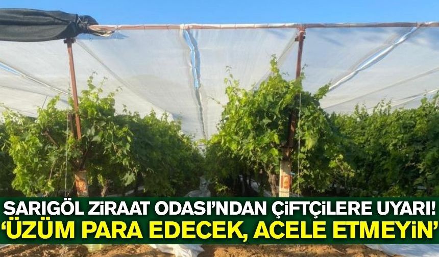 Sarıgöl'de üzüm üreticilerine kredi desteği!