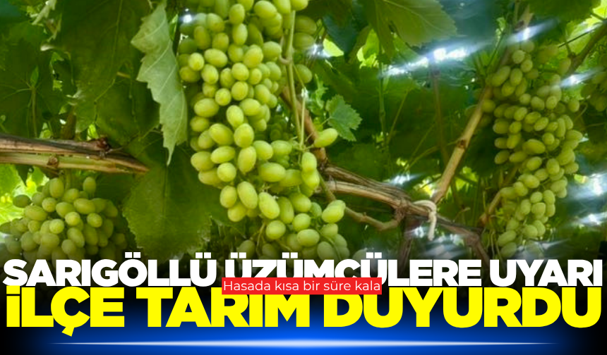 Sarıgöl'de bağcılara bilgilendirme yapıldı