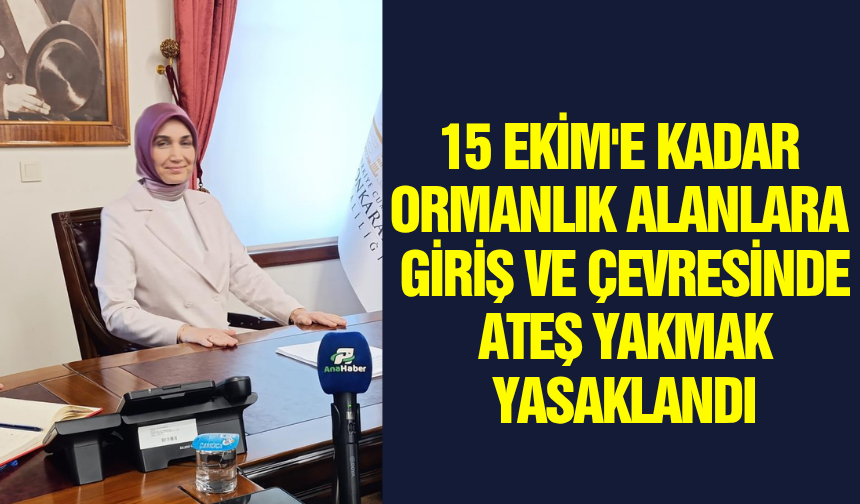 Vali Yiğitbaşı'ndan Yangınlara Karşı Toplu Mücadele Çağrısı