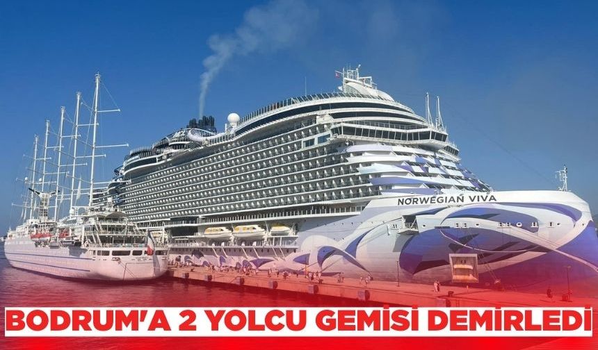 Ege'de 2 yolcu gemisi demirlendi!