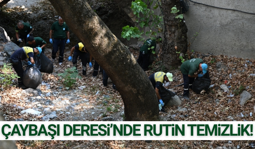 Çaybaşı Deresi'nde kapsamlı temizlik çalışması