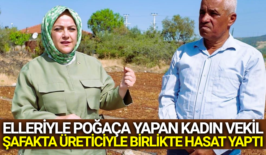 Denizli Milletvekili Ün, bu kez üzümcünün taleplerini dile getirdi
