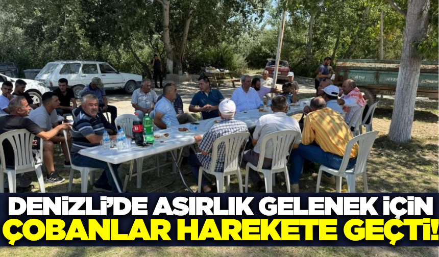 Denizli'de şap hastalığı nedeniyle ertelenmişti: Çobanlar harekete geçti!