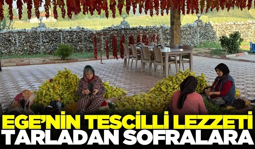 Tescilli Lezzet Sofralarla Buluşuyor