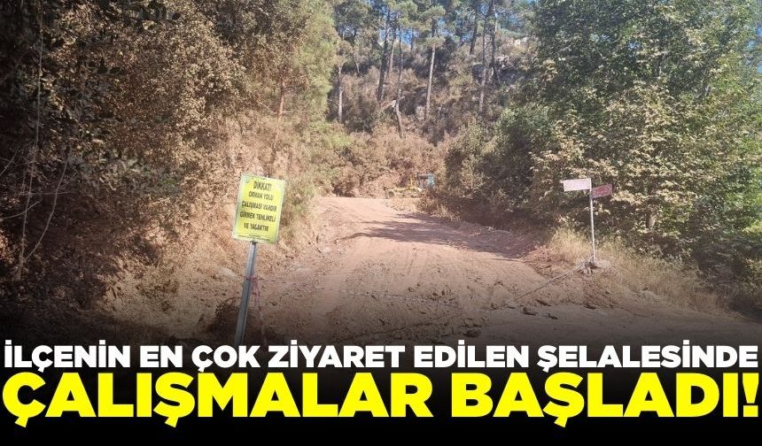 Ege'de ormanlık alanda çalışmalar devam ediyor!