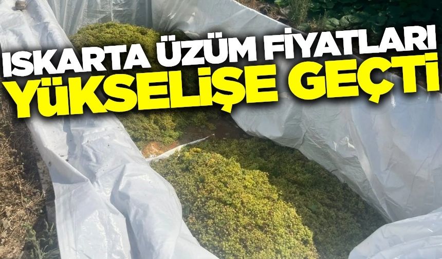Iskarta üzüm fiyatlarında artış!