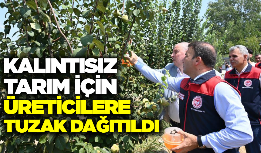Üreticilere Akdeniz meyve sineğine karşı tuzakları dağıtıldı