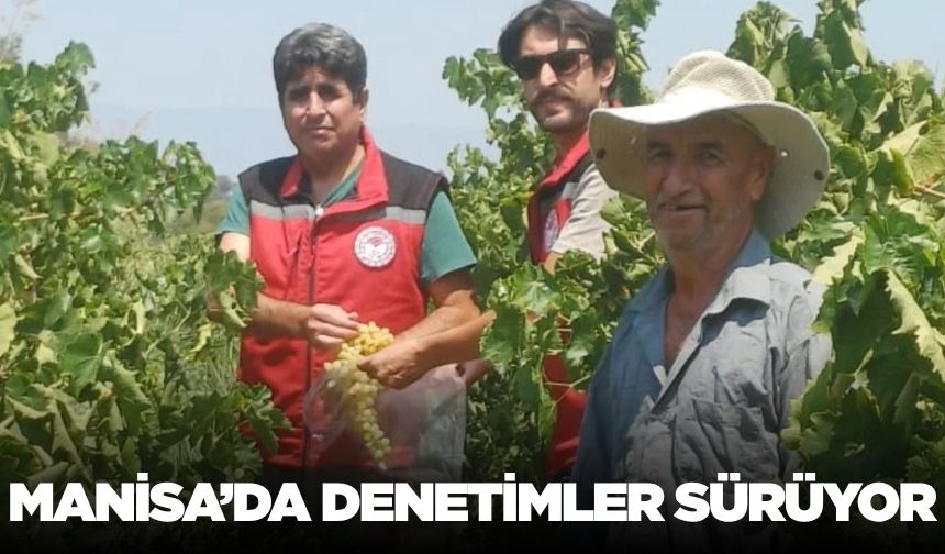 Manisa'da hasat öncesi denetimler devam ediyor