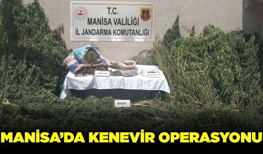 Gördes'te kenevir operasyonu