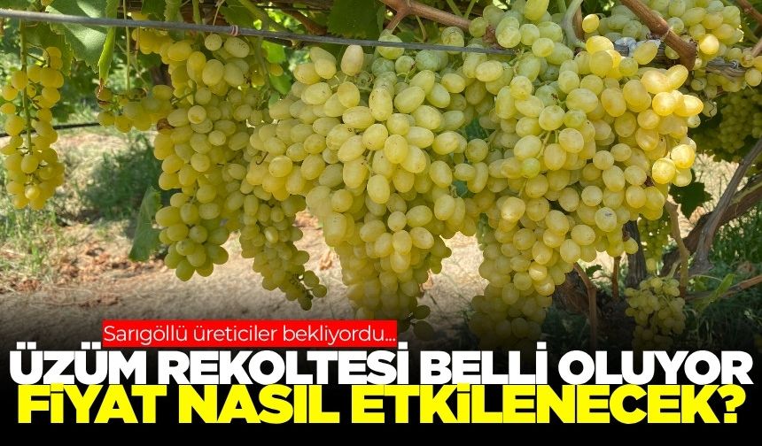 Manisa'da üzüm üreticilerinin gözü kulağı bu toplantıda