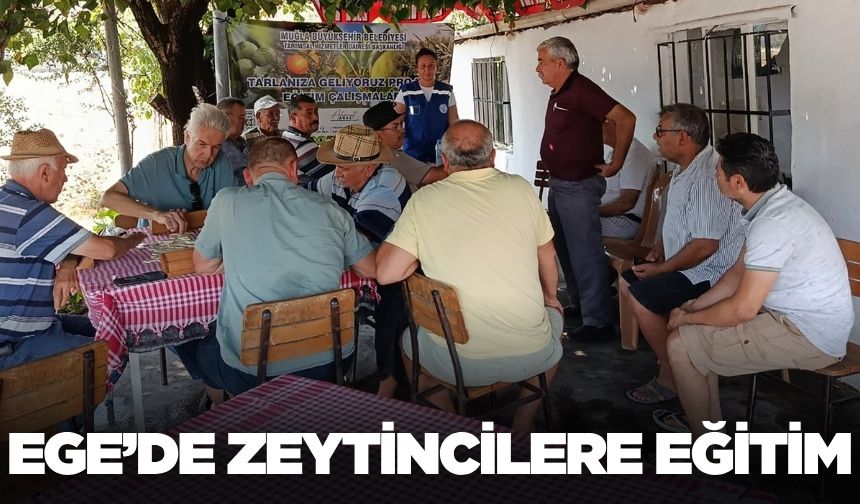 Muğla'da zeytin üreticilerine yönelik eğitim