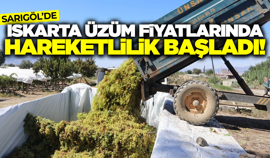 Sarıgöl’de Iskarta üzüm fiyatları yükseliyor