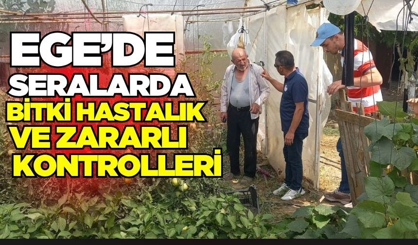 Ege'de seralarda kontroller tüm hızıyla devam ediyor!