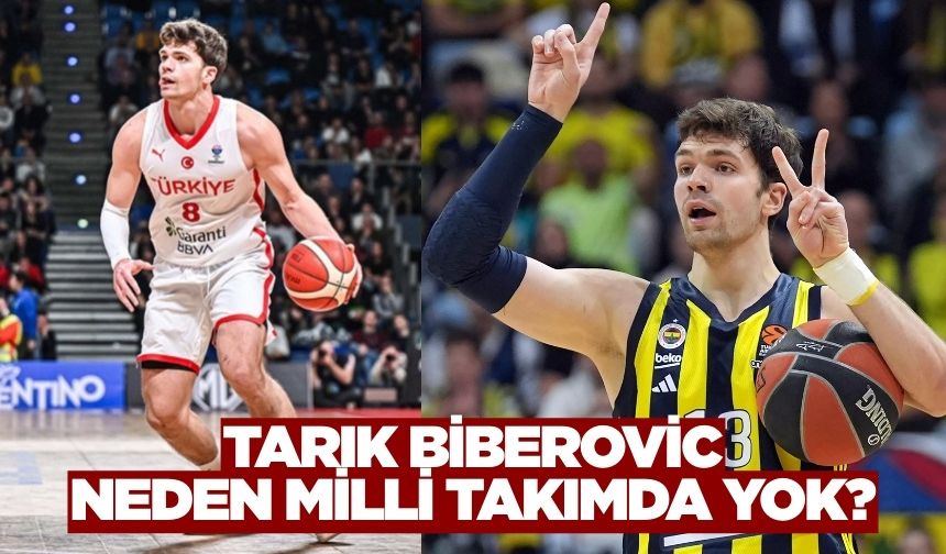Tarık Biberovic neden milli takımda yok?