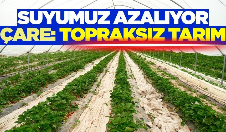 Topraksız tarım, seçenek değil zorunluluktur