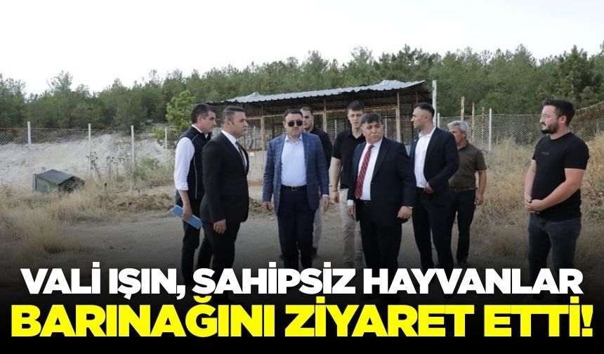 Vali Işın, "Sahipsiz hayvanlara yönelik hizmetler toplumsal duyarlılığın bir göstergesidir"