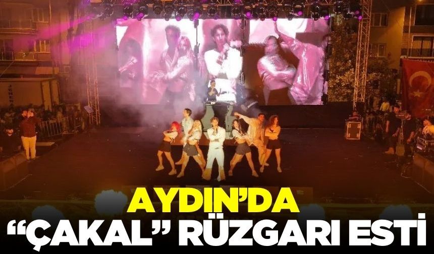 Ünlü sanatçı Çakal'dan festivale renk katan performans!