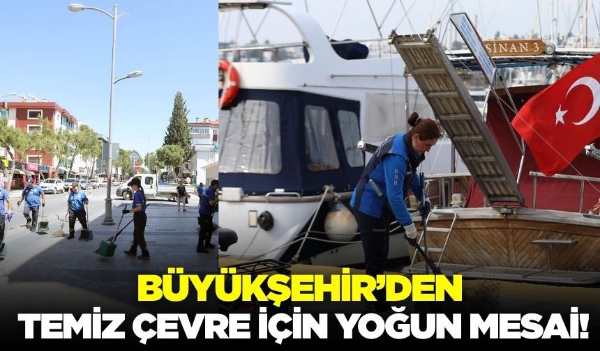 Ege'de hummalı çalışma: Ekipler yoğun mesaide