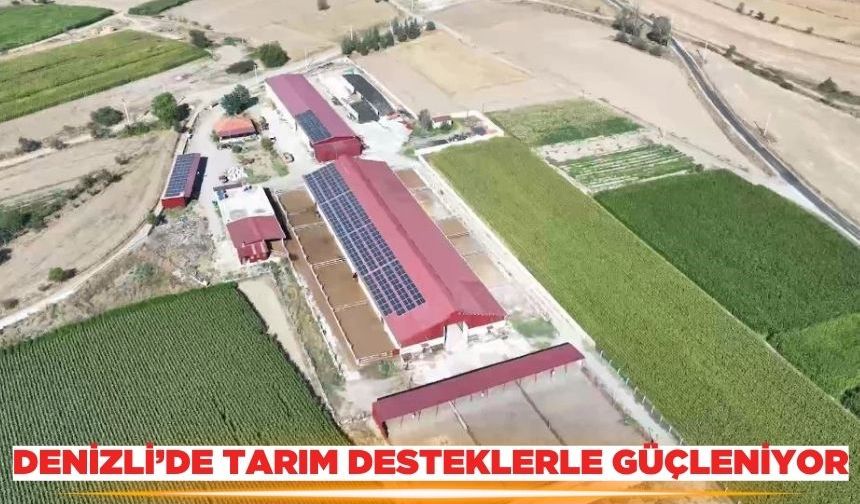 Denizli'de tarım, desteklerle her geçen gün daha da güçleniyor
