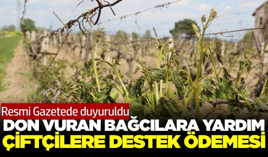 Resmileşti... Zirai don mağduru çiftçilere ödeme yapılacak