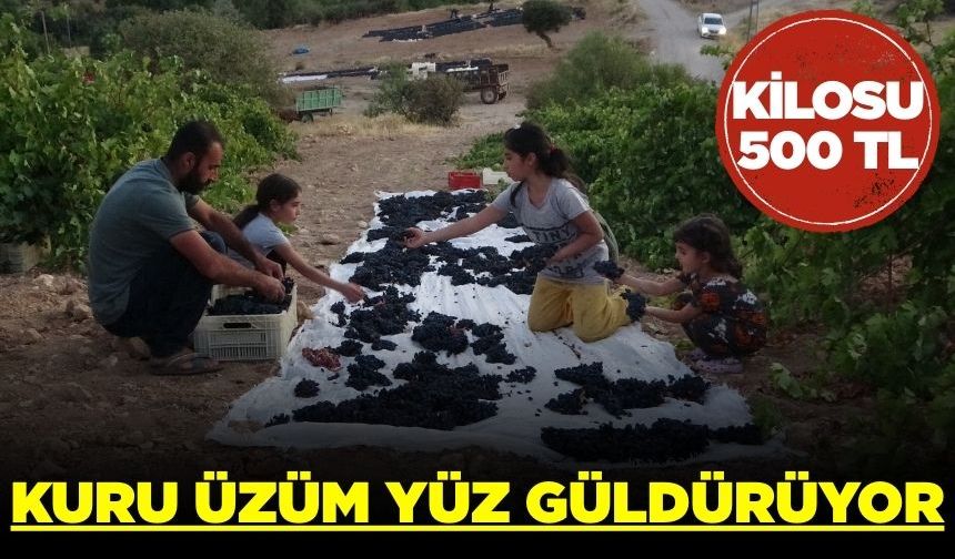 Üreticinin kuru üzümde yüzü güldü!