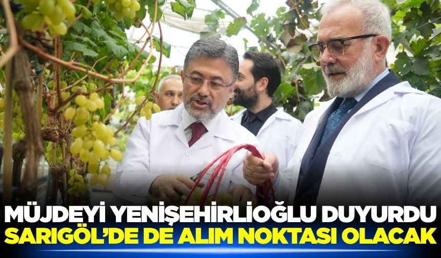 Manisa üreticisine büyük destek: TMO alımları başlıyor