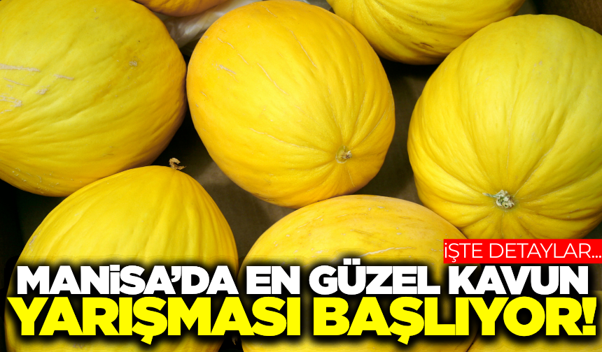Manisa'da en güzel kavun yarışması başlıyor!